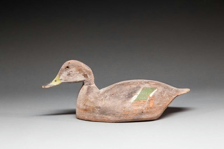 Lloyd Tyler – Pintail Hen – 2016