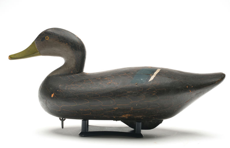 R. Madison Mitchell – Black Duck – 2026
