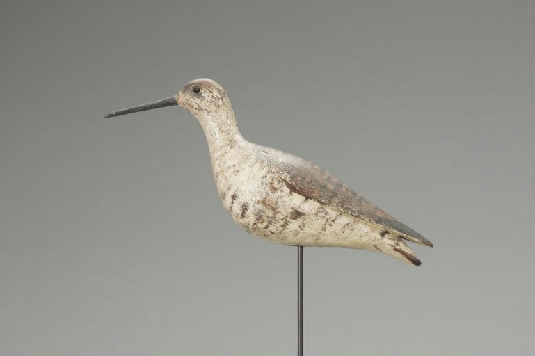 Joseph Lincoln – Greater Yellowlegs – 2018