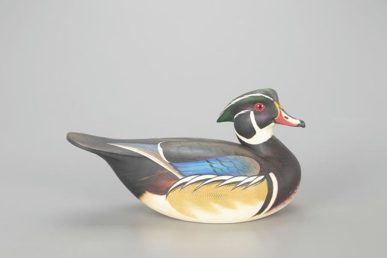 Leo McIntosh – Wood Duck – 2022
