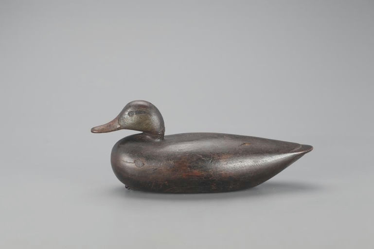 John Henry Downes – Black Duck – 2021