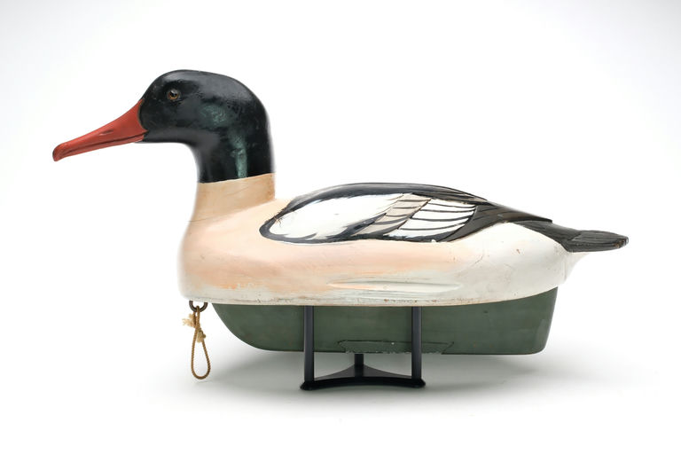 Ferdinand Bach – American Merganser – 2026