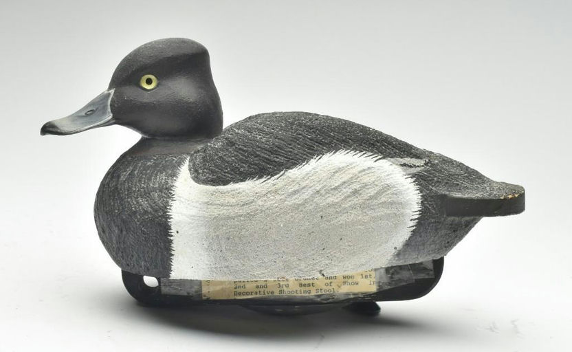 Tom Matus – Cork Ringneck – 2023
