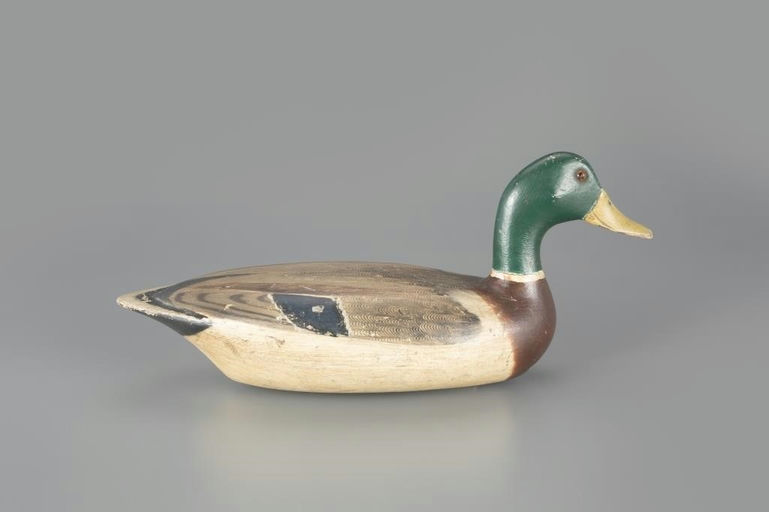 Charles Walker – Lawton Rig Mallard Drake – 2024