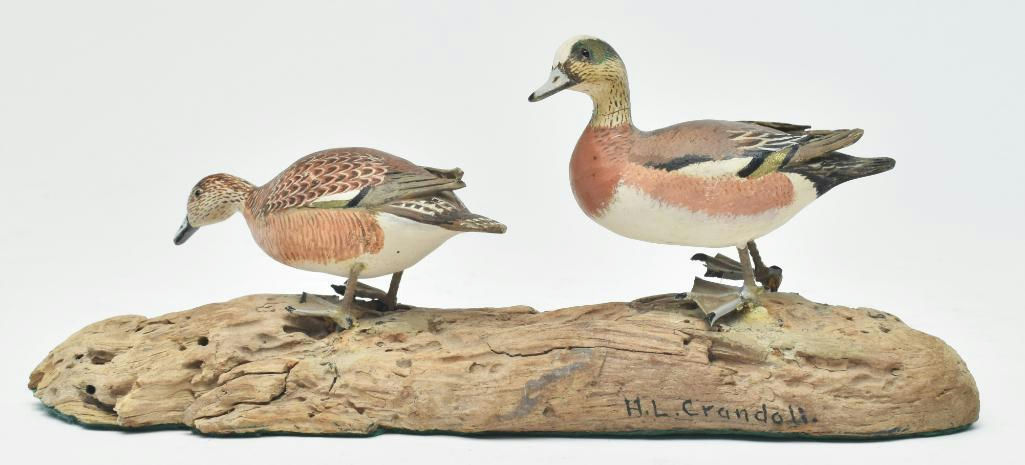 Horace Crandall – Wigeon – 2023