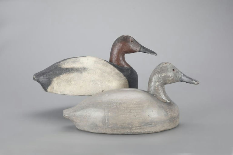 Leo Tocchini – Canvasback Pair – 2023