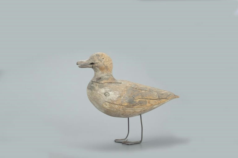 Gus Wilson – Gull – 2022