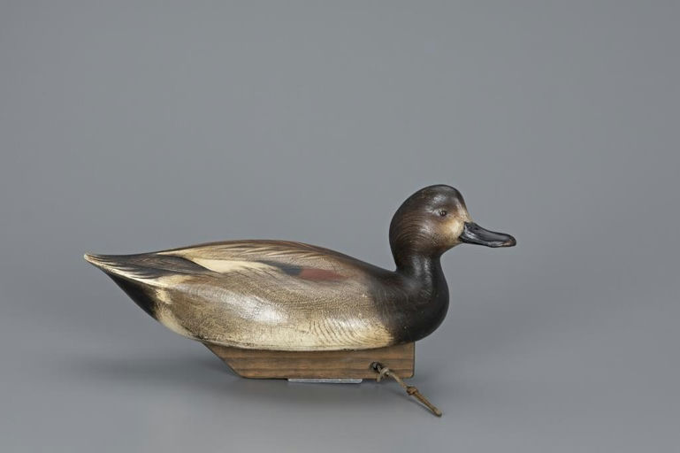 Jim Schmiedlin – Gadwall Drake – 2019