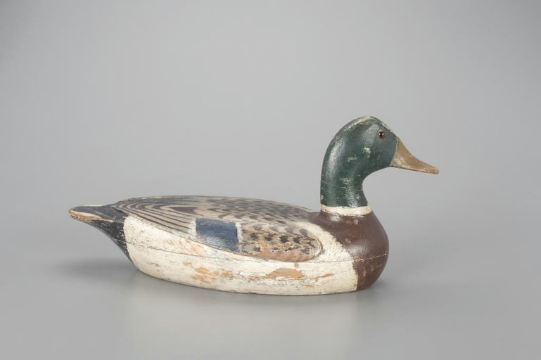 Charles Walker – Mallard Drake – 2022