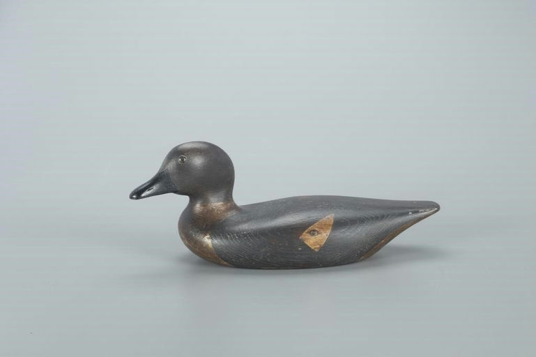 Orlando Os Bibber – Rare Goldeneye Hen – 2022