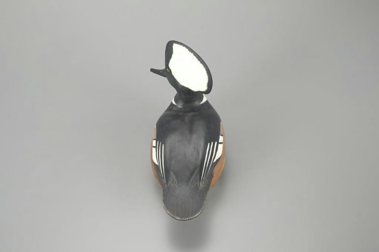 Corb Reed – Hooded Merganser – 2023