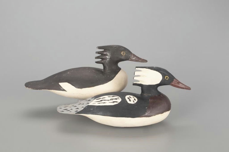 Cigar Daisey – Hooded Merganser Pair – 2022