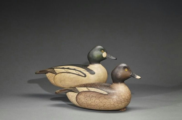 Anthony G. Murray – Goldeneye Pair – 2017