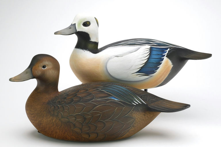 Sean Sutton – Hollow Carved Pair of Stellar's Eider, Slightly Turned Heads – 2024