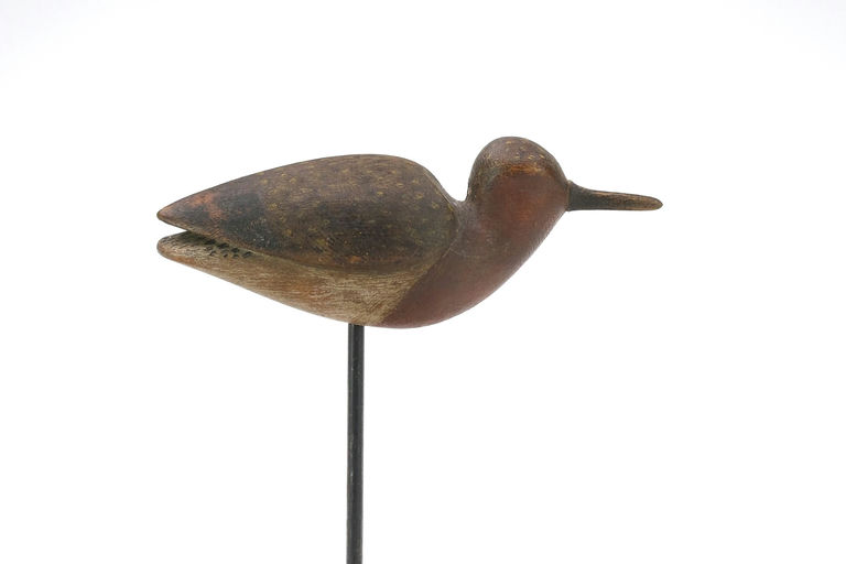 Mark McNair – Red knot – 2024