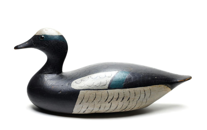 Joseph Lincoln – Wigeon – 2026