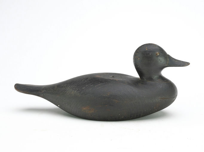 Joseph Lincoln – Ruddy Duck – 2025