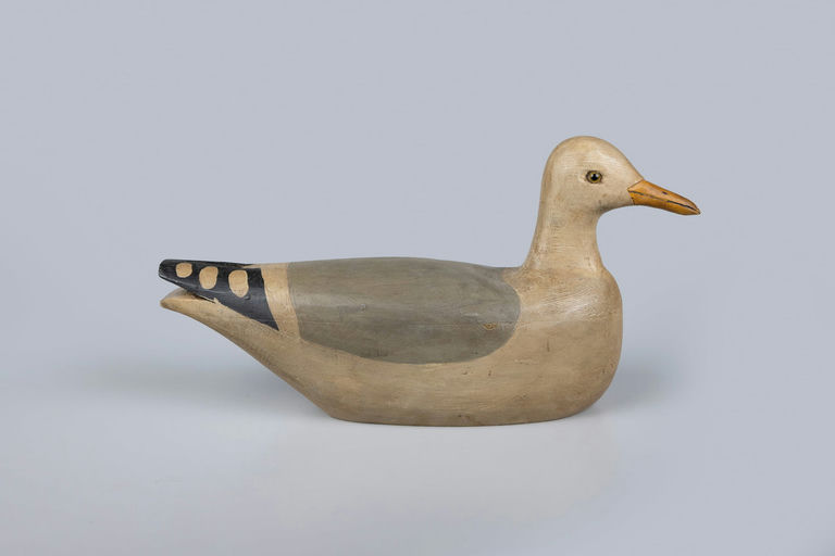 Pete Wilbur – Seagull – 2026