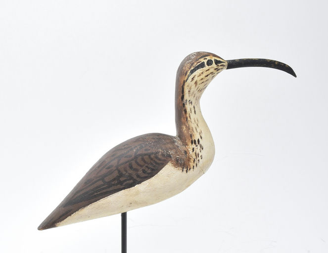 Lloyd Tyler – Curlew – 2025