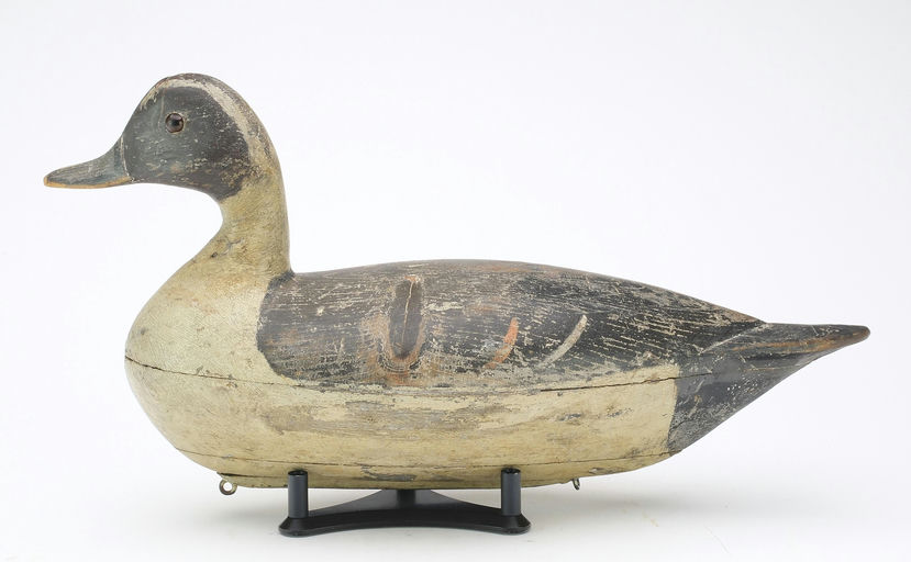 Charles Perdew – Pintail – 2024