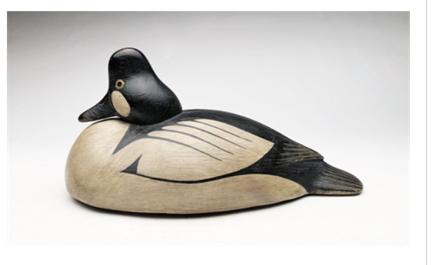 Mark McNair – Goldeneye Drake – 2021