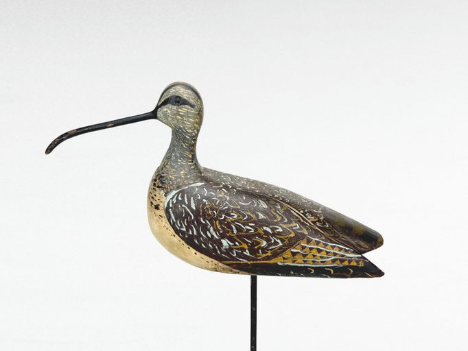 William Henry Bennett — Curlew