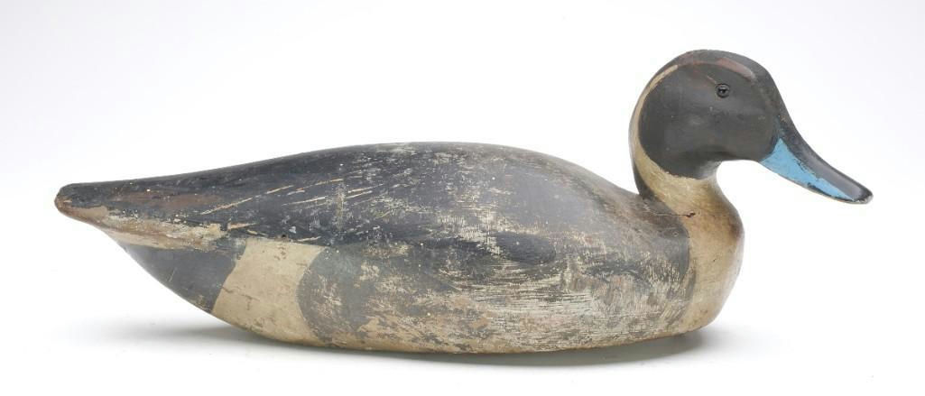 Ward Brothers – Pintail – 2023