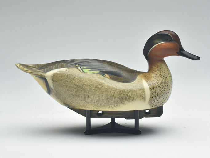 Jim Schmiedlin – Green-winged Teal – 2023