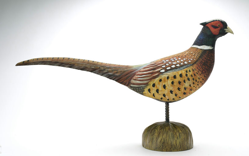 Mike Borrett – Pheasant – 2024