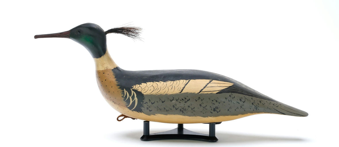 Bob White – Red-breasted Merganser – 2025