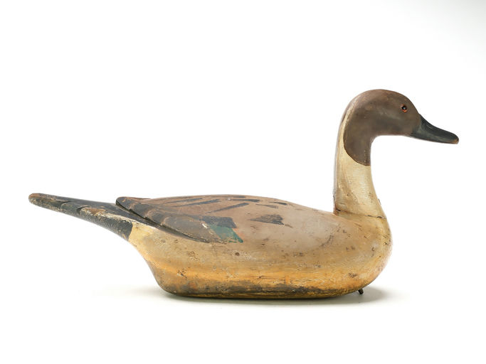 Richard Janson – Pintail – 2025