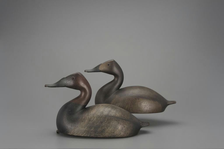 Cameron McIntyre – Canvasback Pair – 2018