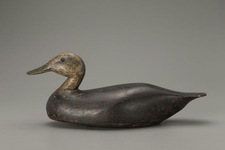 C. William Chrysler – Black Duck – 2018