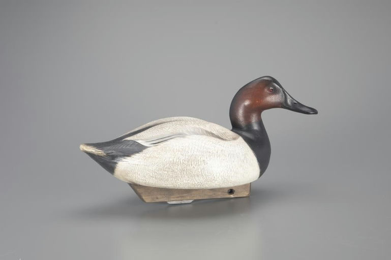 Jim Schmiedlin – Canvasback Drake – 2024