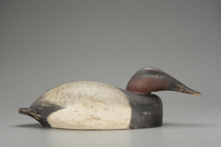 John Zachmann – Oversize Canvasback Drake – 2018