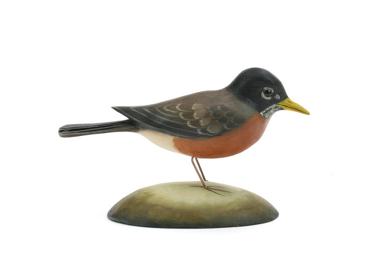 Frank Finney – Slightly undersized robin – 2024