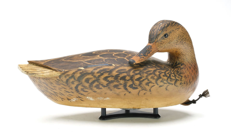 Grayson Chesser – Mallard Hen – 2025