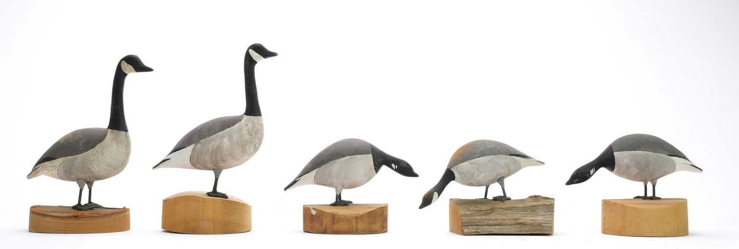 Hurley Conklin – Canada Geese – 2024