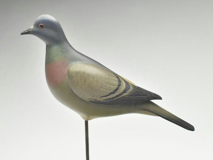 Bill Gibian – Passenger Pigeon – 2023