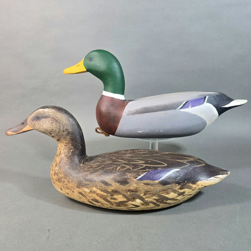 David Rhodes – Mallard – 2026