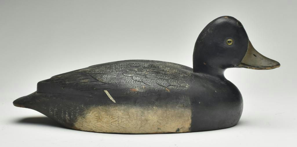 David W. Nichol – Scaup – 2023