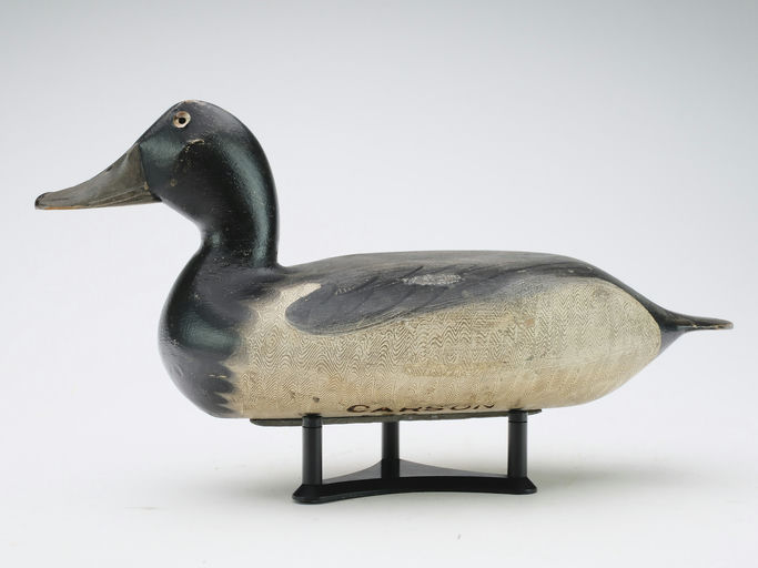 Robert Elliston – Bluebill – 2024
