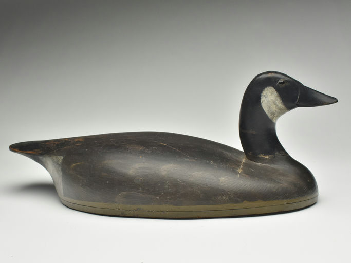 Thomas Chambers — Canada Goose
