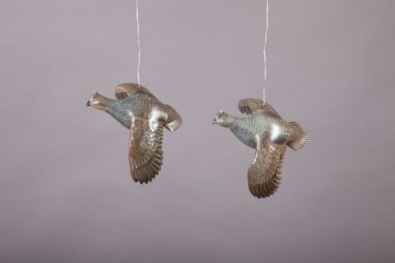 Mike Borrett – Flying Scaled Quail Pair – 2013