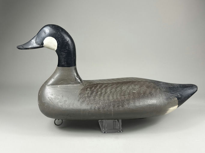 Paul Gibson – Canada goose – 2026