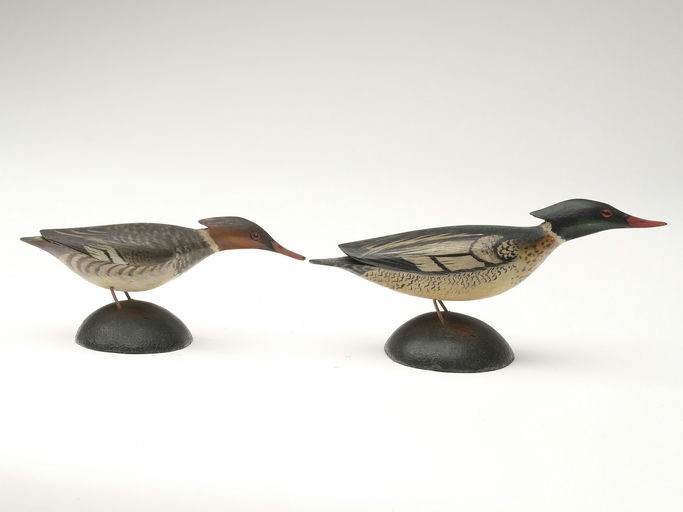 Elmer Crowell – Pair of Merganser – 2023