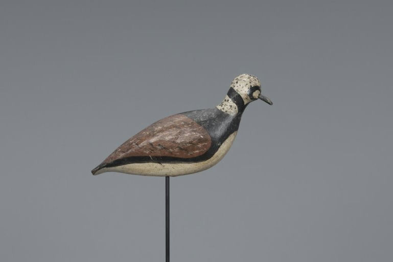 John Horn – Ruddy Turnstone – 2019