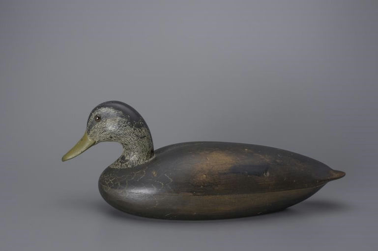 Shang Wheeler – Hollow Black Duck – 2018