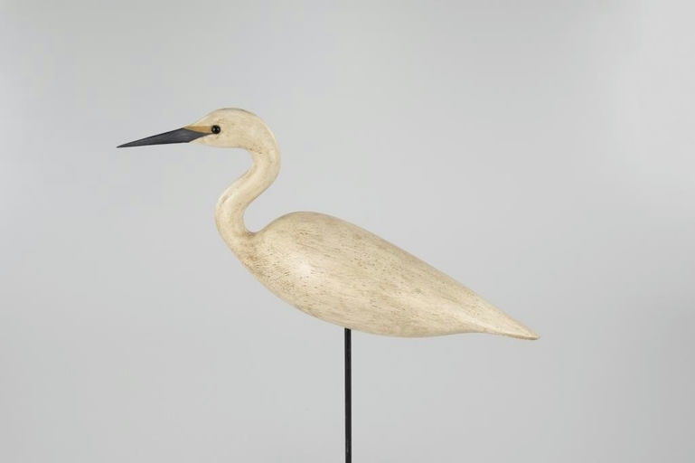 Frank Finney – Early Snowy Egret – 2026