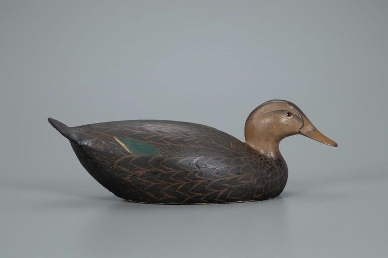 Ward Brothers – Black Duck – 2020